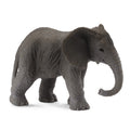 African Elephant Calf
