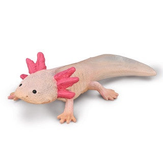 Axolotl - The Toy Station