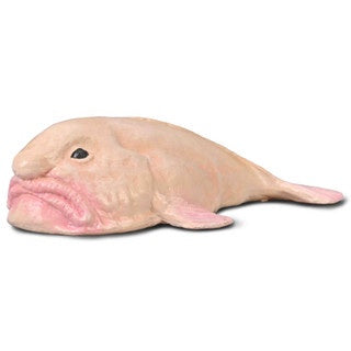 Blobfish - The Toy Station