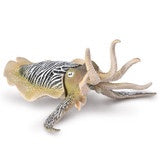 Common Cuttlefish - The Toy Station