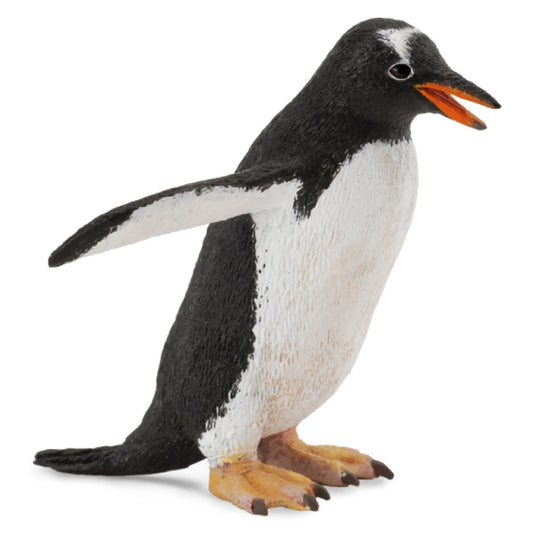 Gentoo Penguin