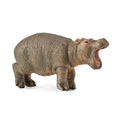 Hippopotamus Calf