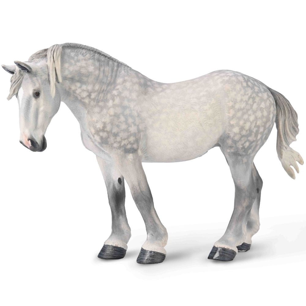 Percheron Mare Dappled Grey