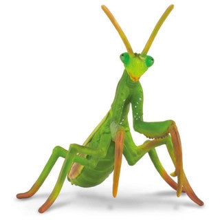 Praying Mantis - The Toy Station