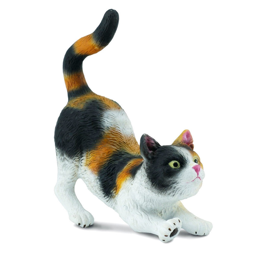 3 Colour House Cat Stretching