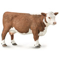 Hereford Cow