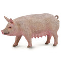 Sow