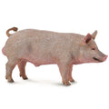 Collecta Pig-Boar - The Toy Station