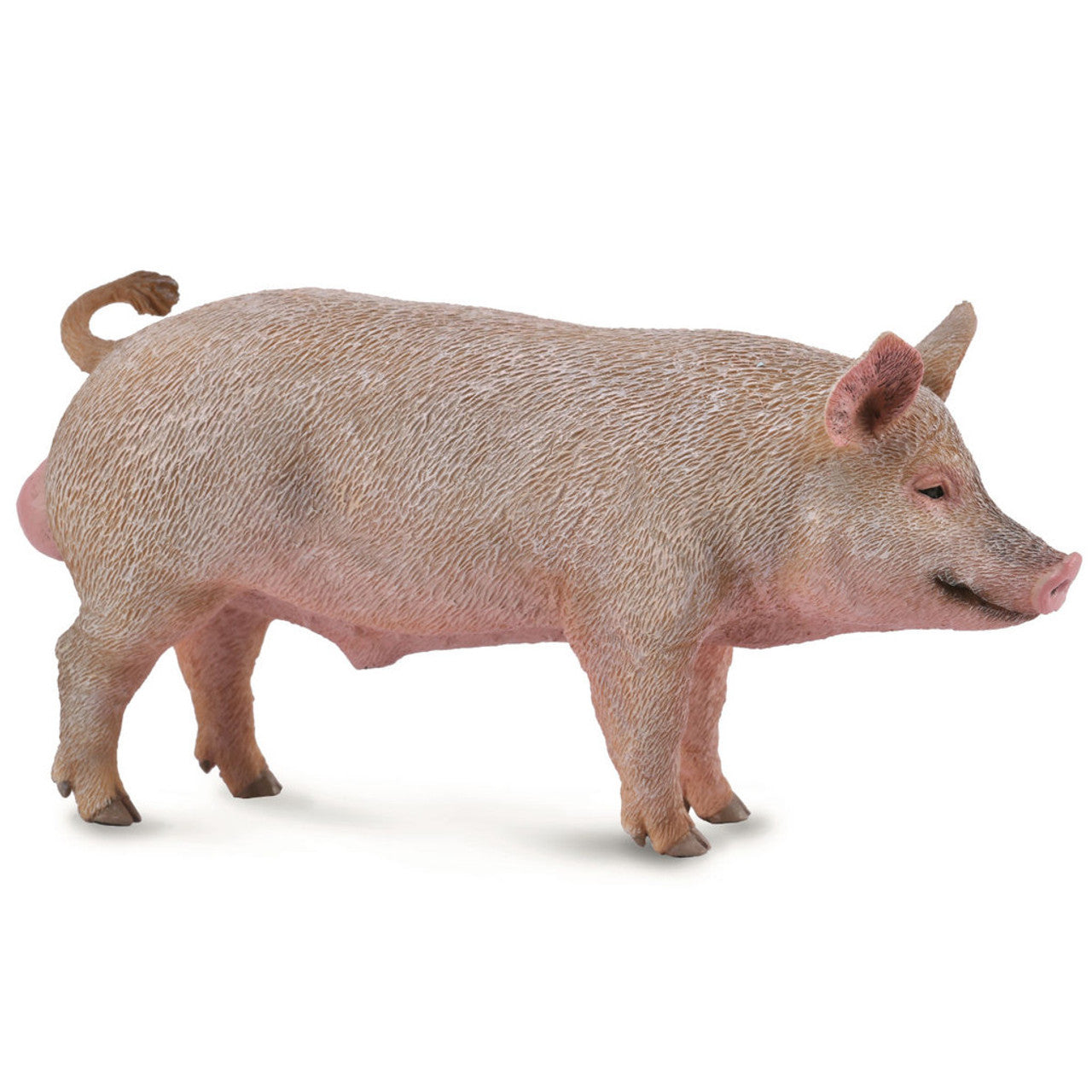 Collecta Pig-Boar - The Toy Station