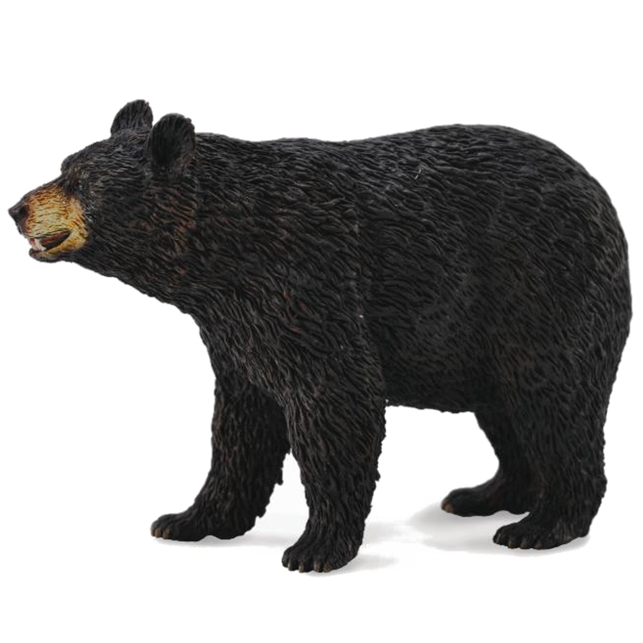 American Black Bear - The Toy Station