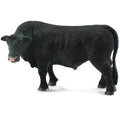 Angus Bull Black
