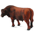 Angus Bull Red
