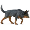 Australian Blue Heeler