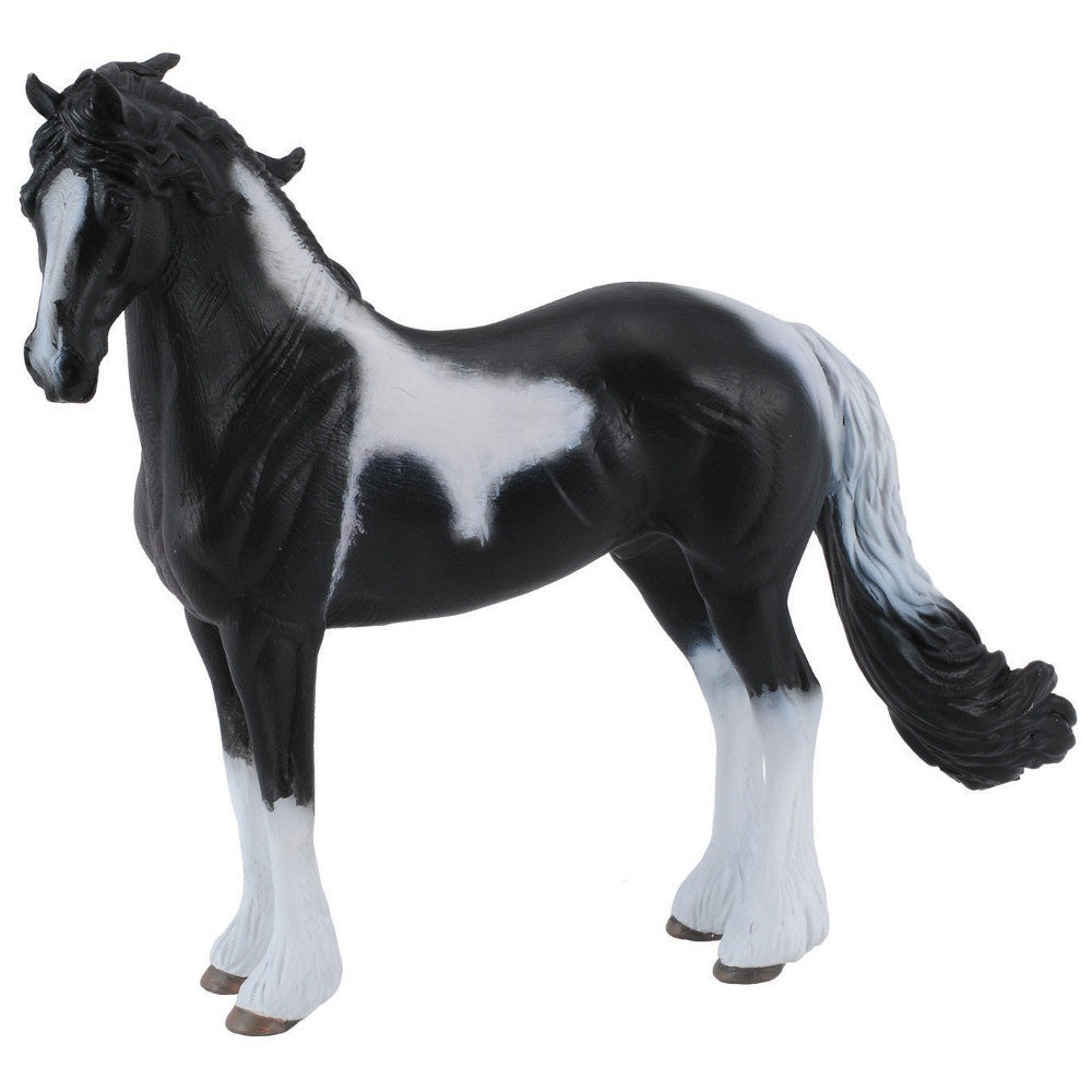 Barock Pinto Stallion