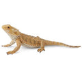 Bearded Dragon Lizard - The Toy Station