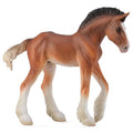 Clydesdale Foal Bay