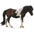 Dartmoor Hill Mare Bay
