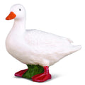 Duck White