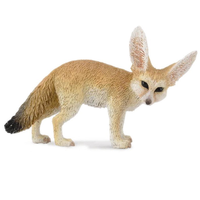 Fennec Fox