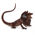 Frill-Necked Lizard