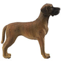 Great Dane