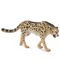 King Cheetah