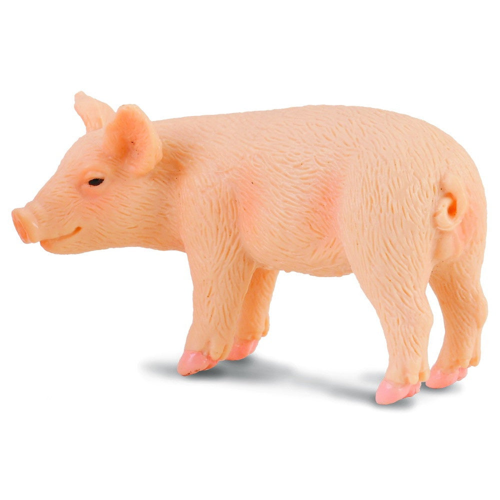 Piglet