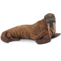Walrus