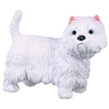West Highland Terrier