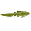 Zebra Shark - The Toy Station