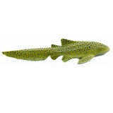 Zebra Shark - The Toy Station