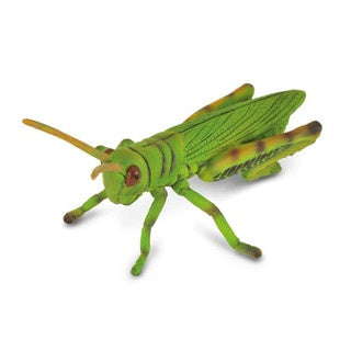Grasshoper - The Toy Station