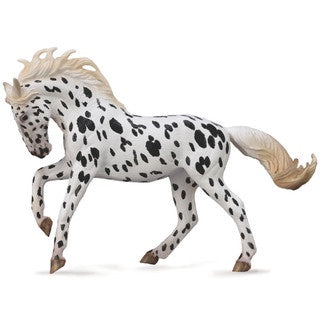 Knabstrupper Mare - Black Leopard