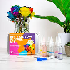 DIY Rainbow Flower Kit - The Toy Station