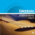 D'Addario EPBB170 Phosphor Bronze Acoustic Bass Strings, Long Scale, 45-100