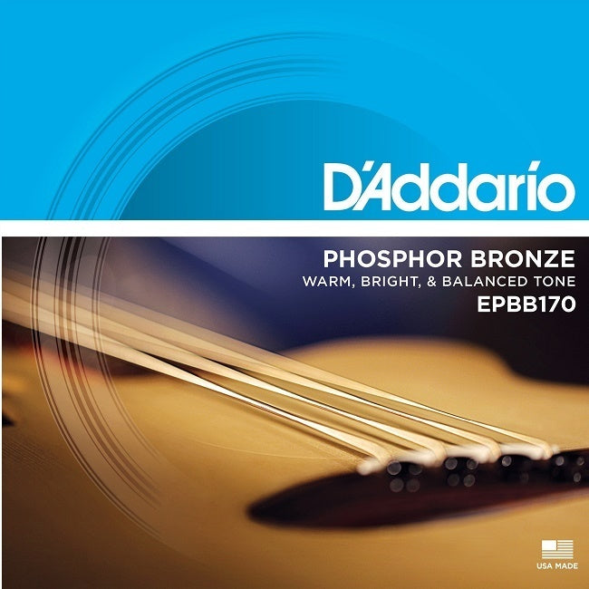 D'Addario EPBB170 Phosphor Bronze Acoustic Bass Strings, Long Scale, 45-100