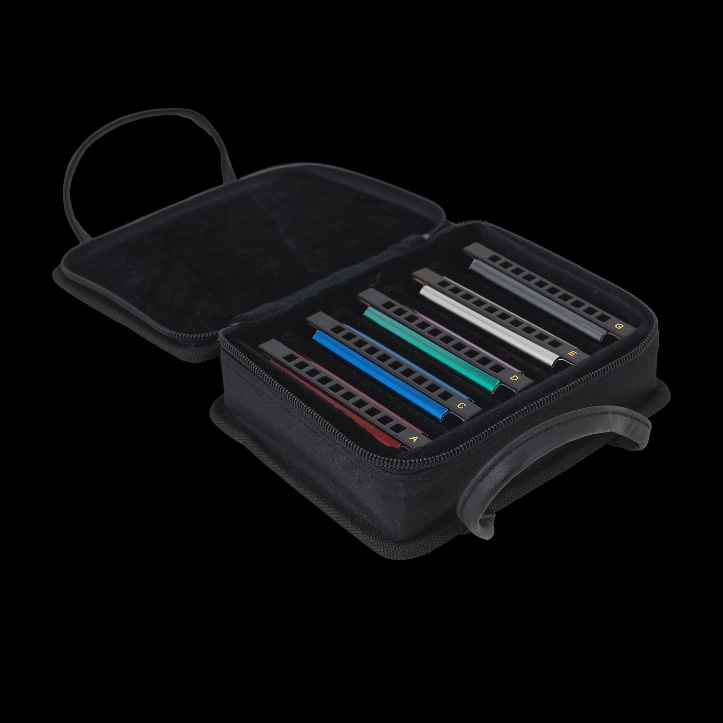 East Top Set of 5 Blues Harmonica's with Case