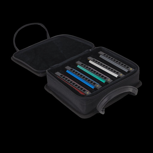 East Top Set of 5 Blues Harmonica's with Case