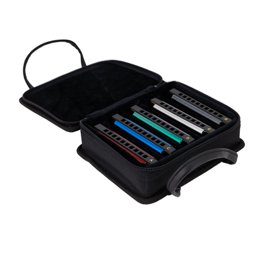 East Top Set of 5 Blues Harmonica's with Case