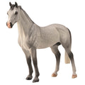 Hanoverian Stallion Dappled Grey