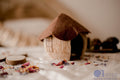Coconut Gnome House