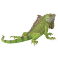 Iguana - The Toy Station