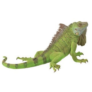Iguana - The Toy Station