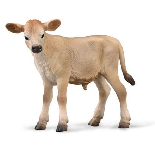 Jersey Calf
