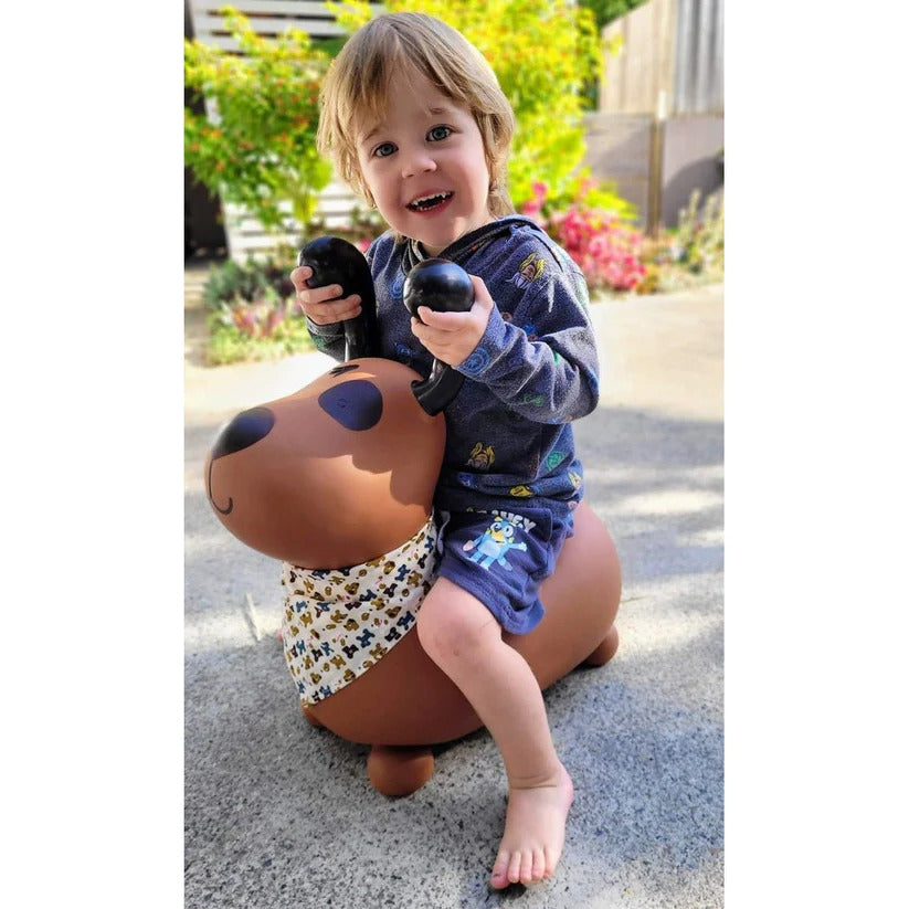 Bouncy Rider - The Toy Station