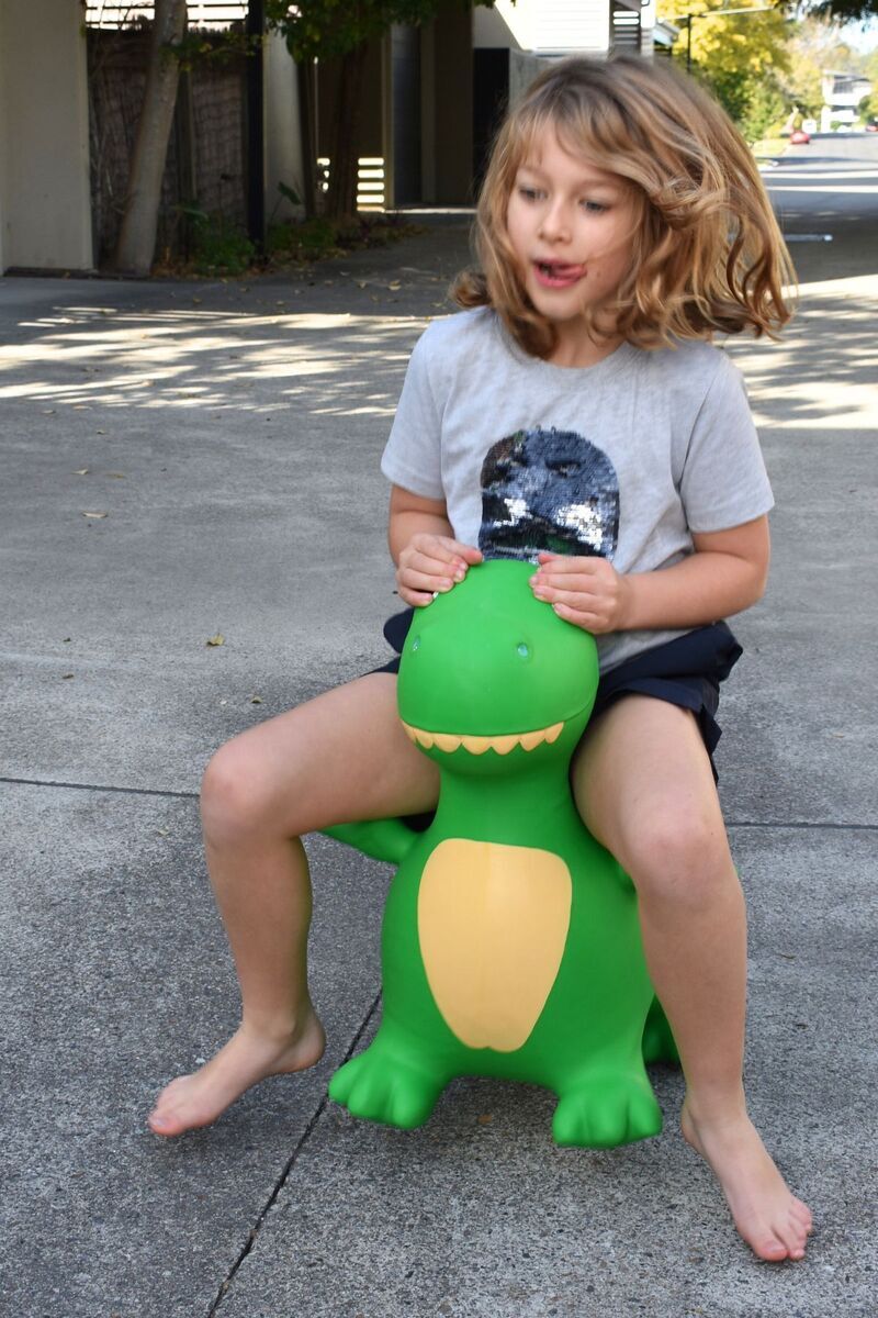 Bouncy Rider - The Toy Station