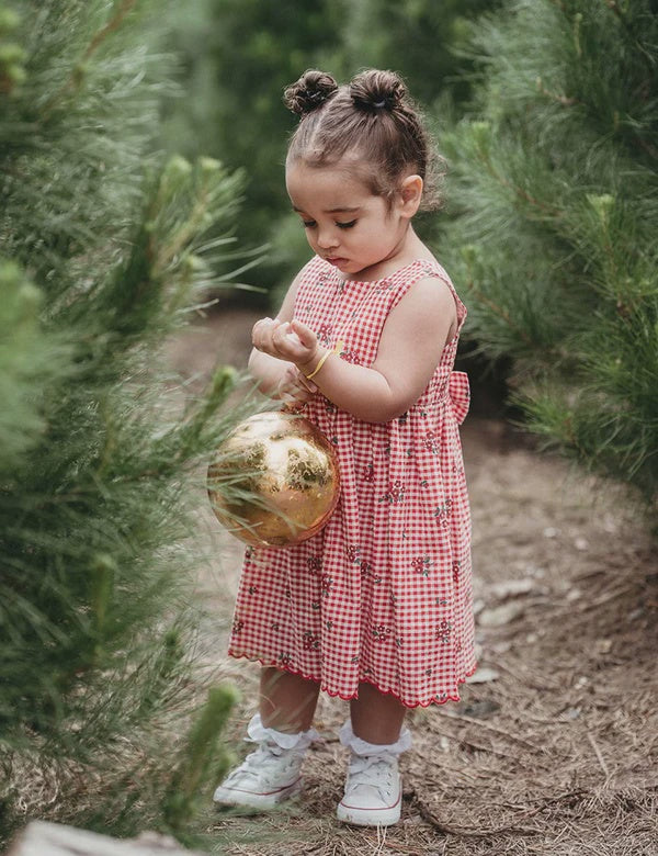 Festive Gingham Dress