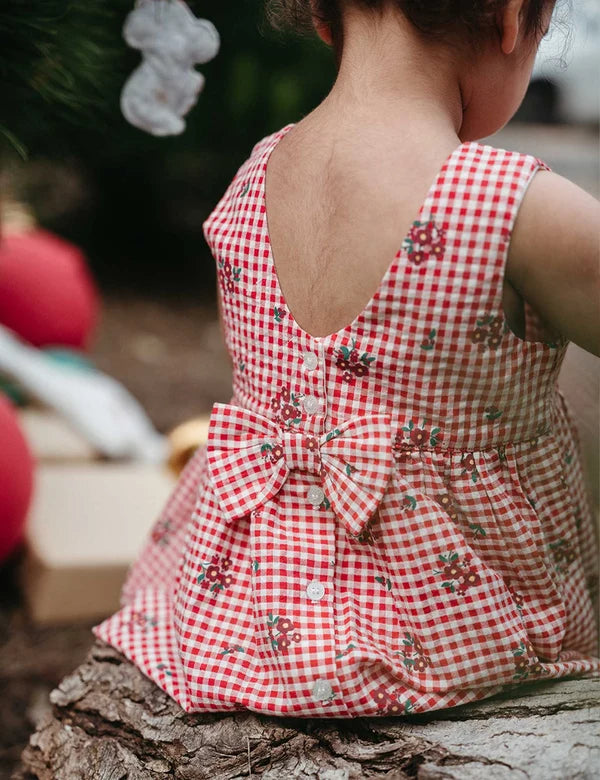 Festive Gingham Dress