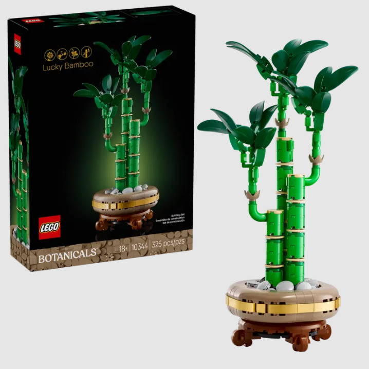 Lego Botanicals 10344 Lucky Bamboo - The Toy Station