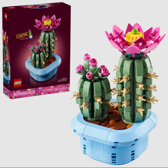 11509 Flowering Cactus